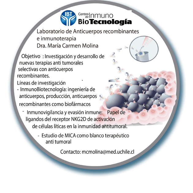 Programa Disciplinario De Inmunología